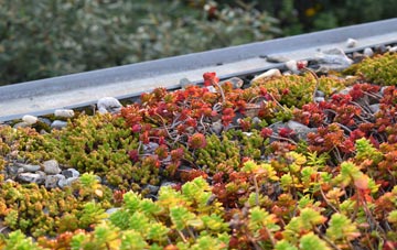 the cost of Whitchurch Canonicorum green roof installation