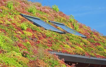 Whitchurch Canonicorum living roof systems