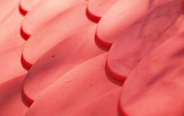 Whitchurch Canonicorum plastic roof costs