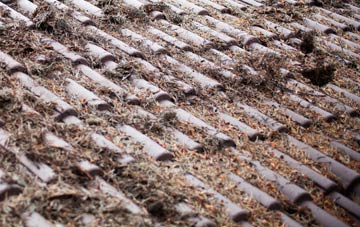 Whitchurch Canonicorum roof cleaning companies