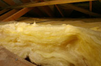 Whitchurch Canonicorum pitch roof insulation